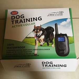 Dog training active collar